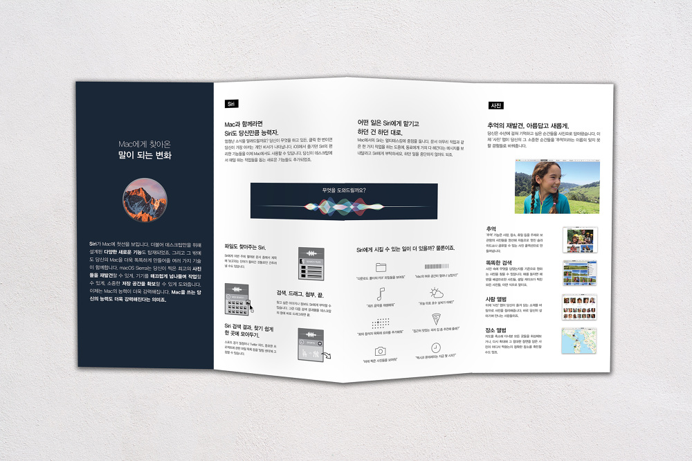4 fold brochure